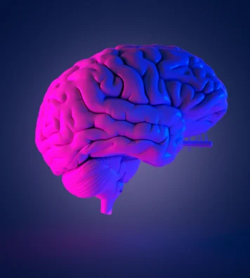 0x0 (1)