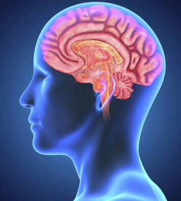creierul uman inteligent cu test iq