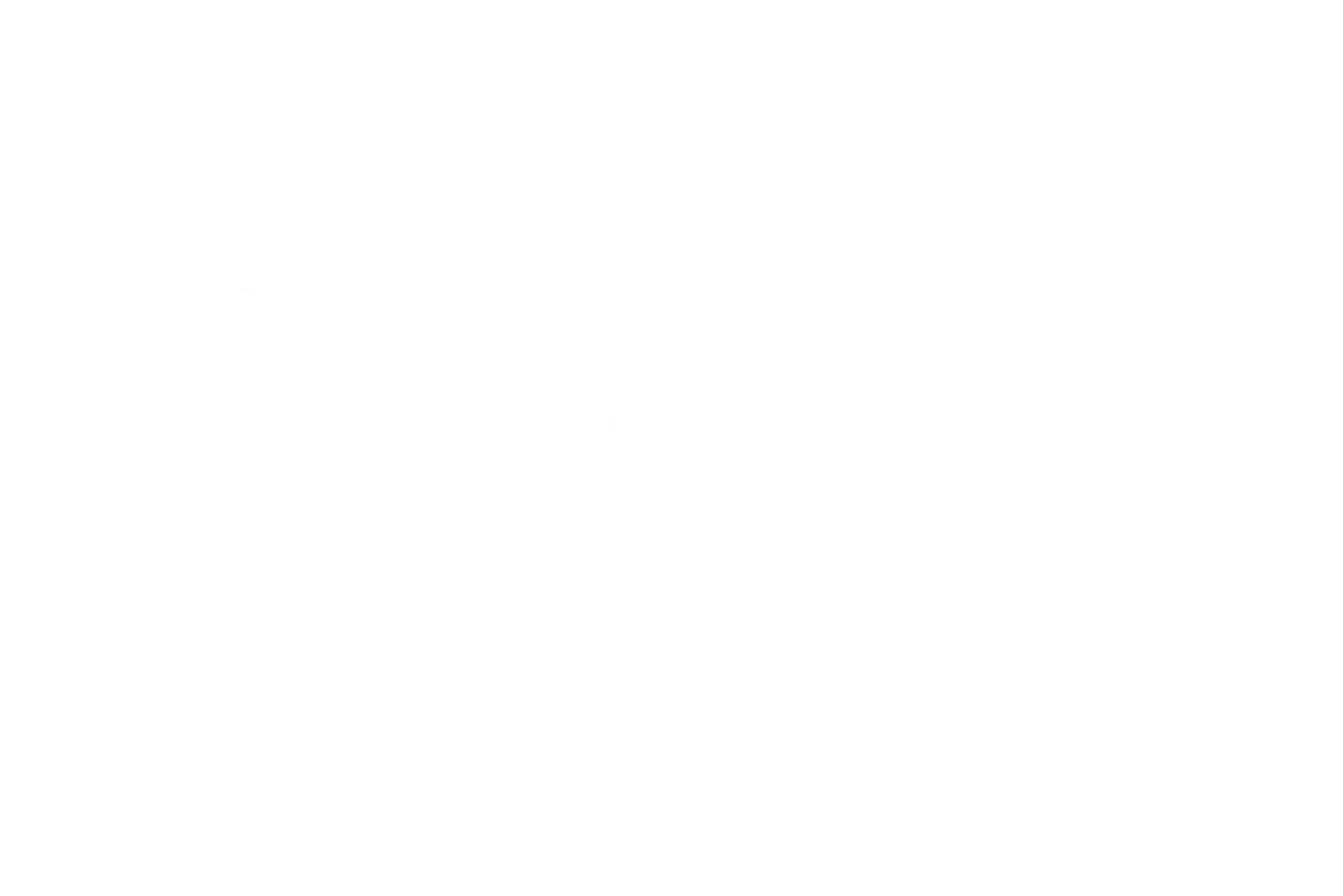 IQ Maxim