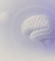 Blog-ul nostru iq maxim online