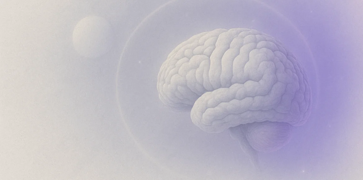 Blog-ul nostru iq maxim online Blog-ul nostru iq maxim online