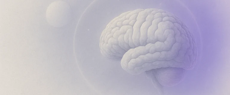 Blog-ul nostru iq maxim online