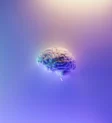 Test online iq 100% gratuit romania
